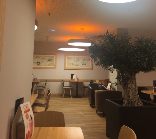 Galería de imágenes